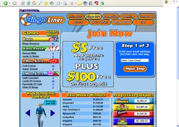 Bingo Liner Screenshot